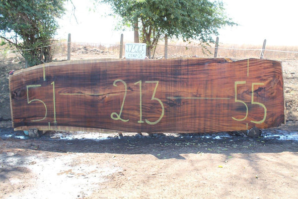 Monkey pod 213"x53"x3" J23265