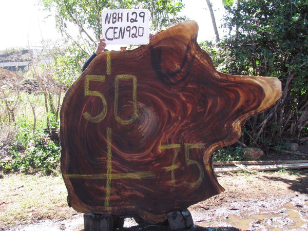 Monkey pod 75"x50"x3" NBH129