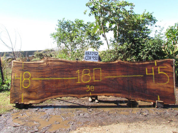 Monkey pod 180"x44"x3" NBJ092