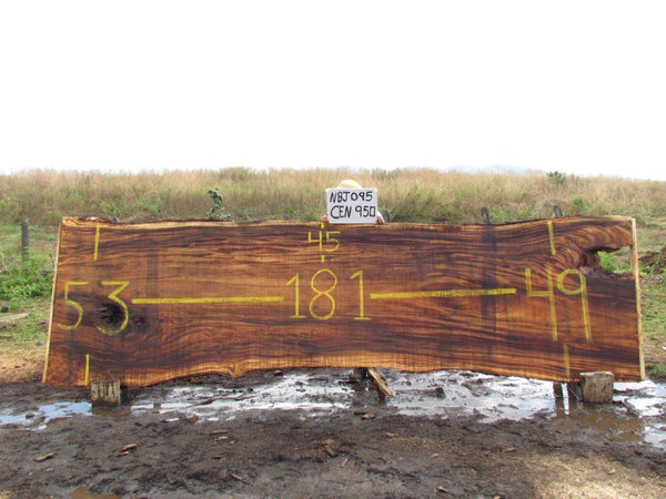 Monkey pod 181"x49"x3" NBJ095