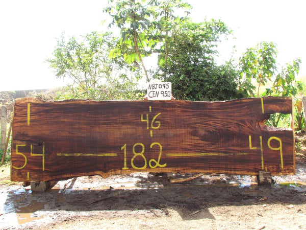 Monkey pod 181"x50"x3" NBJ096