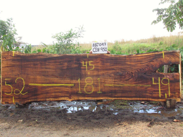 Monkey pod 181"x49"x3" NBJ097