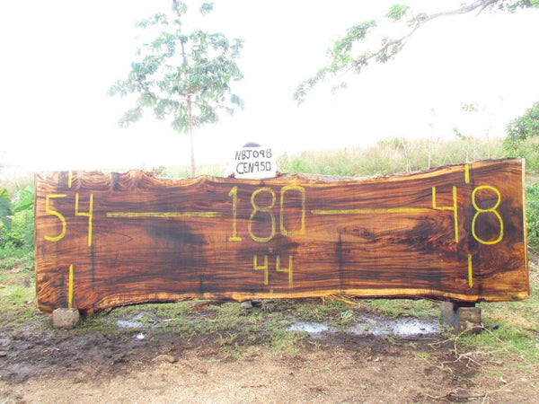 Monkey pod 180"x49"x3" NBJ098