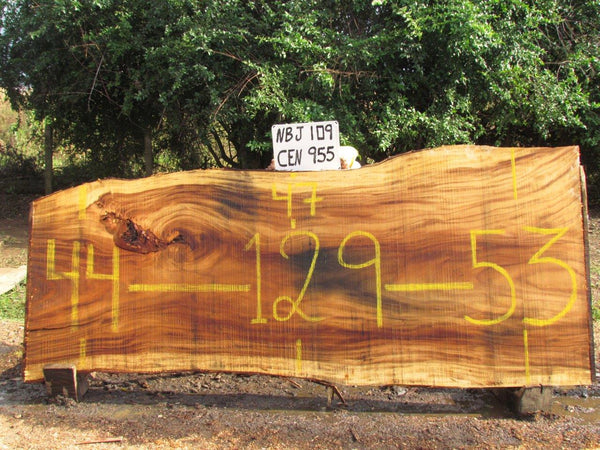 Monkey pod 129"x48"x3" NBJ109