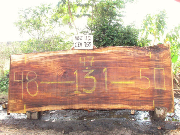 Monkey pod 131"x48"x3" NBJ112