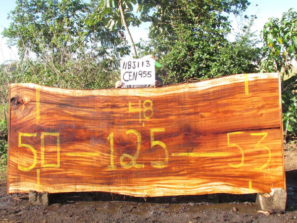Monkey pod 125"x50"x3" NBJ113