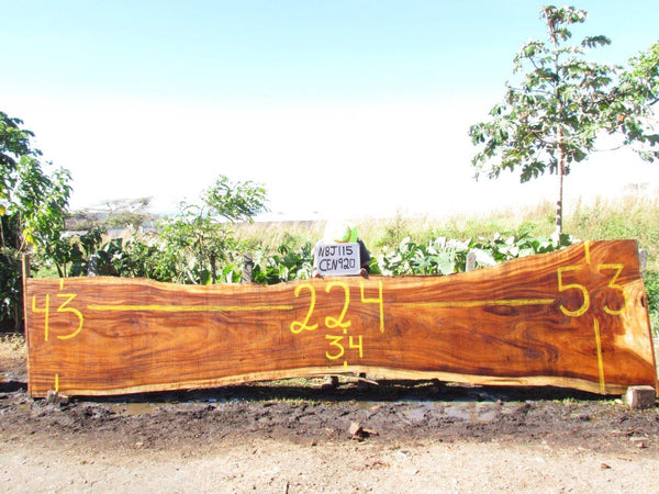 Monkey pod 224"x43"x3" NBJ115