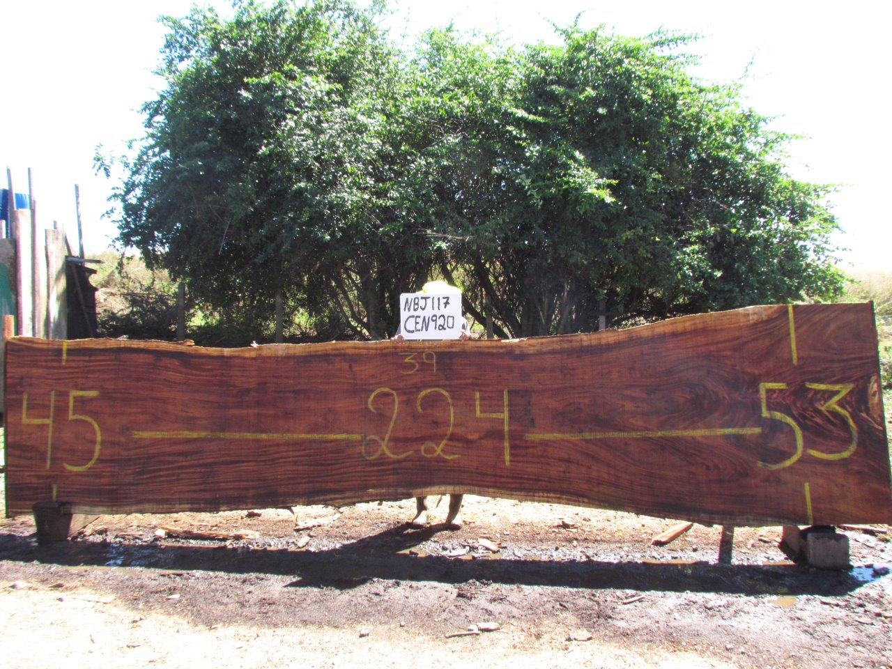 Monkey pod 224