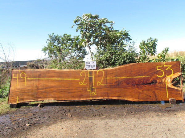 Monkey pod 242"x48"x3" NBJ118
