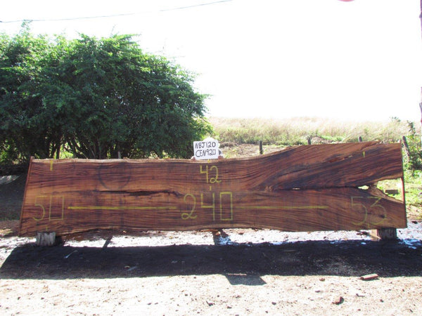 Monkey pod 240"x48"x3" NBJ120
