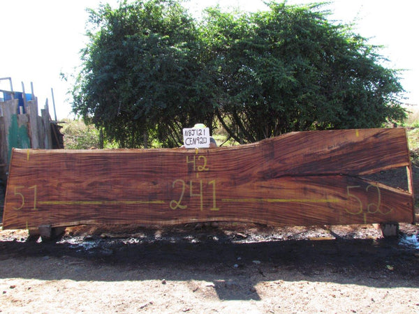 Monkey pod 241"x 48"x3" NBJ121