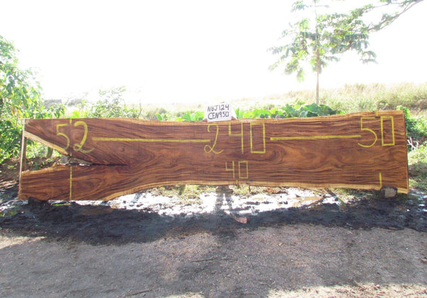 Monkey pod 240"x47"x3" NBJ124
