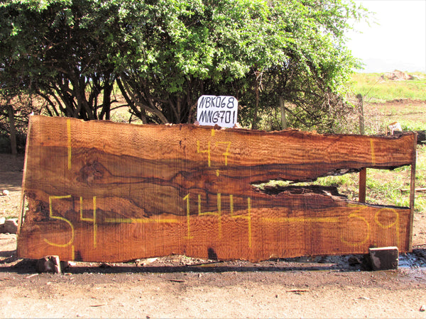 Mango  144"x47"x2" NBK068