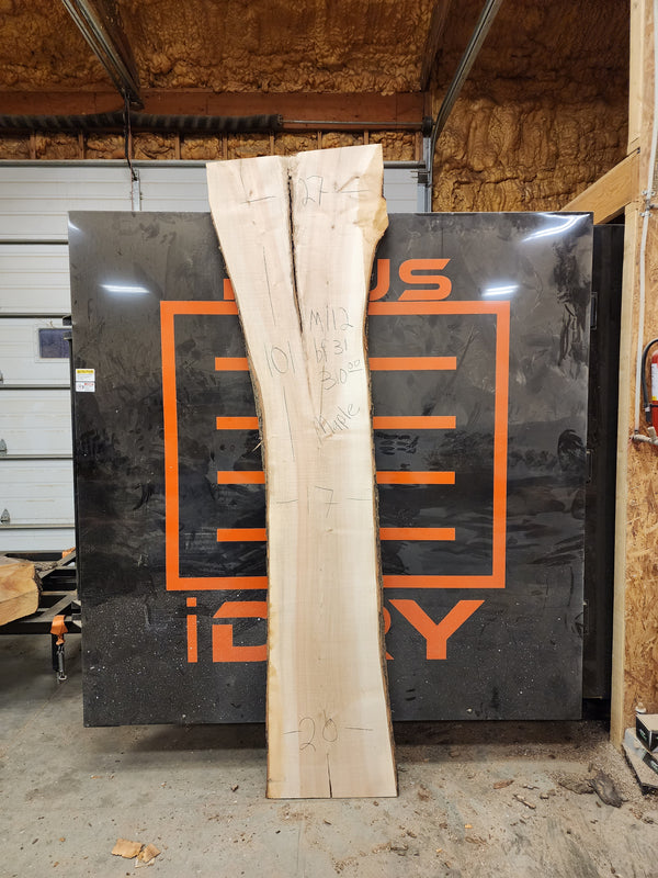 Maple 101"X20"x2" M112